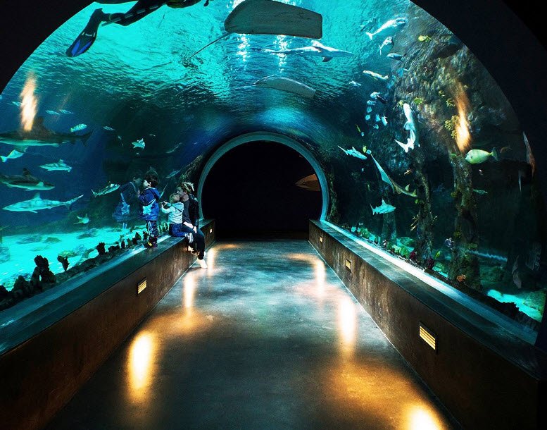 Loveland Living Planet Aquarium, Utah, USA